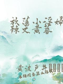 放荡小淫妇h肉辣文黄蓉