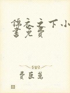 锦衣之下小说听书免费