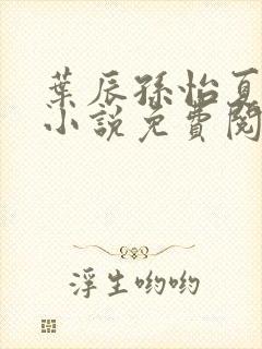 叶辰孙怡夏若雪小说免费阅读全文