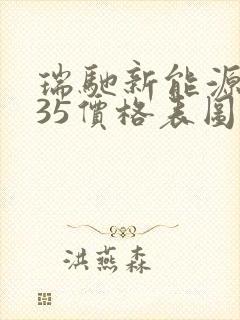 瑞驰新能源ec35价格表图片