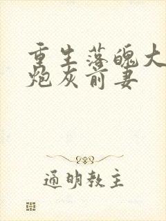 重生落魄大佬的炮灰前妻