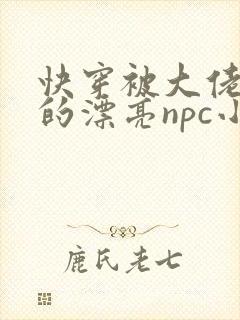 快穿被大佬觊觎的漂亮npc小说阅读