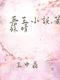 兵王小说,萧晨苏晴