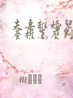 夫妻离婚儿女抚养权怎么判