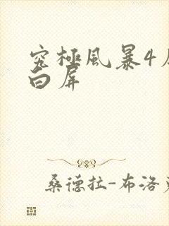 究极风暴4序章白屏