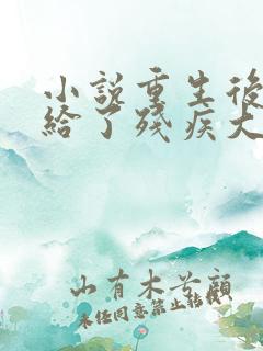 小说重生后我嫁给了残疾大佬