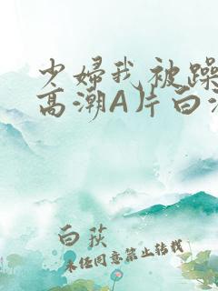 少妇我被躁爽到高潮A片白洁