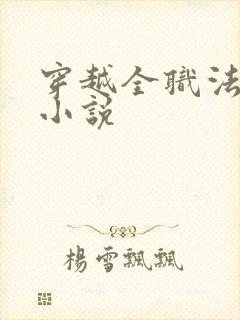 穿越全职法师的小说