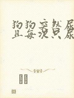 狗狗突然尿频而且每次只尿一点