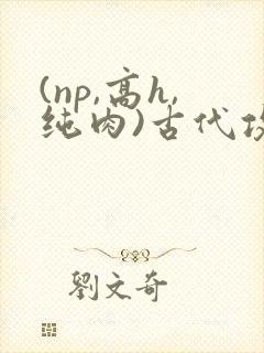 (np,高h,纯肉)古代攻受