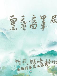 白天夜里尿多是怎么回事