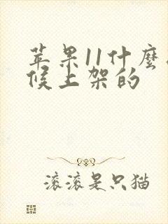 苹果11什么时候上架的