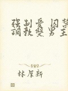 强制爱 囚禁 调教双男主