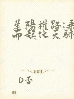 叶阳权路:乘风而起化天骄全文在线阅读