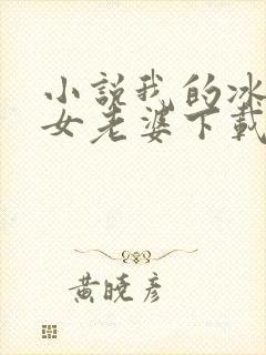 小说我的冰山美女老婆下载