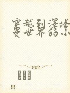 穿越到泽塔奥特曼世界的小说