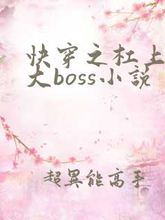 快穿之杠上反派大boss小说