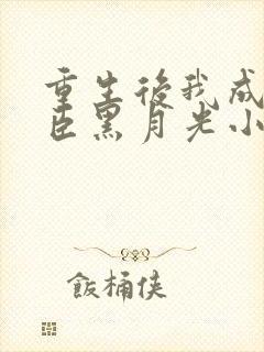 重生后我成了奸臣黑月光小说