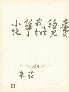 小说我的老婆黑化了txt免费下载