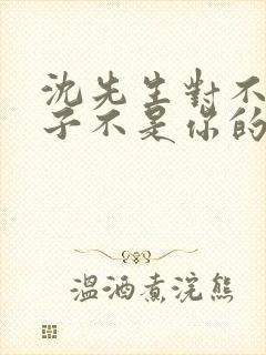 沈先生对不起孩子不是你的短剧免费观看