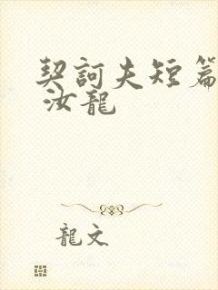 契诃夫短篇小说 汝龙