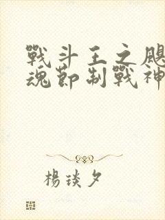 战斗王之飓风战魂节制战神