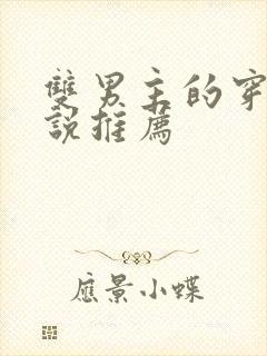 双男主的穿越小说推荐