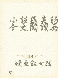 小说匹夫的逆袭全文阅读无弹窗