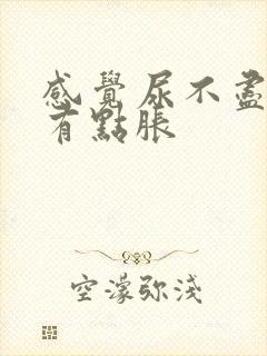 感觉尿不尽小腹有点胀