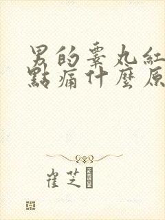 男的睾丸红肿有点痛什么原因