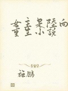 女主是陆向晚的重生小说