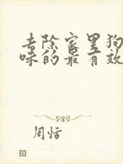 去除家里狗尿屎味的最有效产品