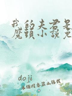 我的夫君是灭世魔头小说免费阅读