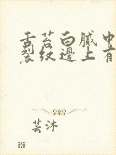 舌苔白腻中间有裂纹边上有齿痕