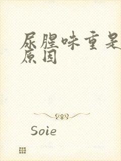 尿腥味重是什么原因