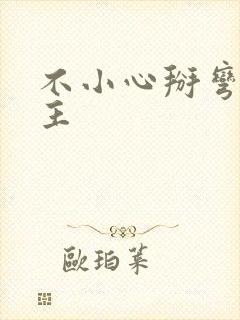 不小心掰弯了男主