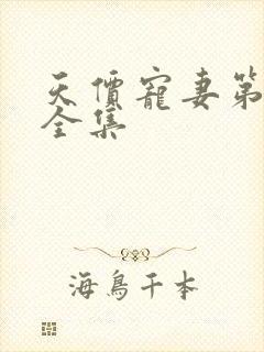 天价宠妻第2季全集