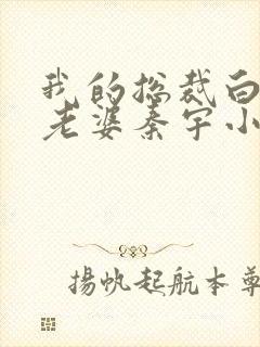 我的总裁白富美老婆秦宇小说版免费