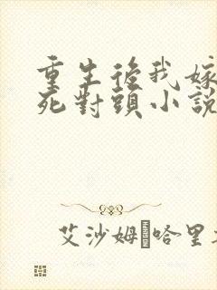 重生后我嫁给了死对头小说版