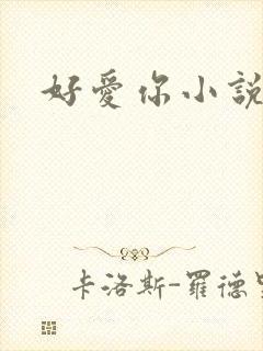 好爱你小说