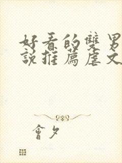 好看的双男主小说推荐虐文