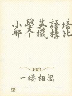 小学英语培训班哪个机构比较好