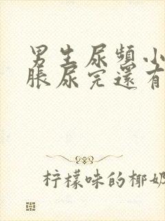 男生尿频小腹坠胀尿完还有尿意