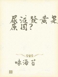 尿液发黄是什么原因?