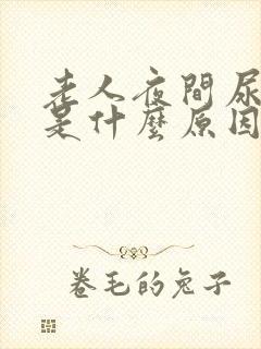 老人夜间尿频繁是什么原因