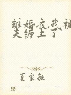 离婚夜,我被前夫缠上了'