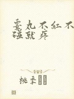 睾丸不红不肿一碰就疼