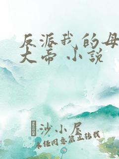 反派我的母亲是大帝 小说