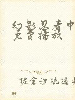 幻影忍者中文版免费播放