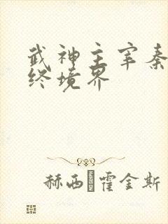 武神主宰秦尘最终境界
